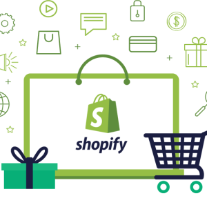 shopify-Custom-Development:​